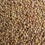 Organic Moth Daal - Image 2